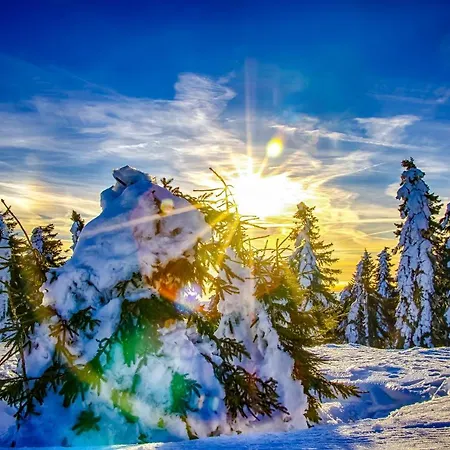 Horský Klínovec 6 Apartamento Loučná pod Klínovcem